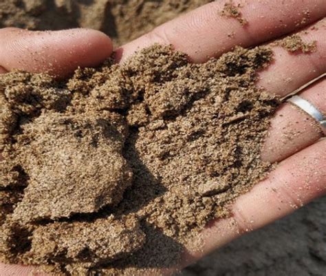 什么是道 硃砂的作用